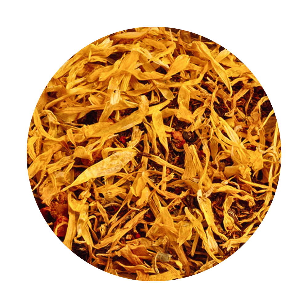 Immune sister mieszanka ziołowa na odporność rooibos imbir kurkuma