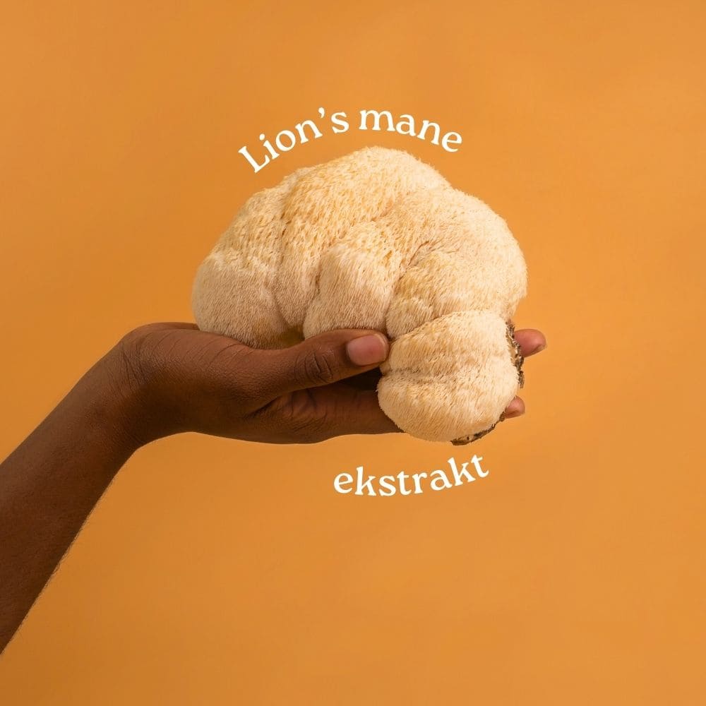 ekstrakt z lion’s mane w mieszance na odporność