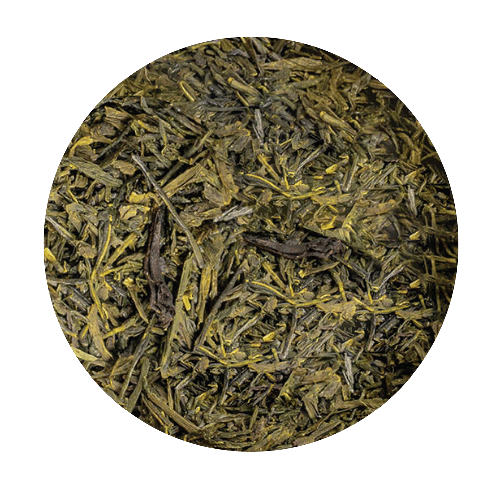 zielona herbata japonska sencha susz ekologiczna